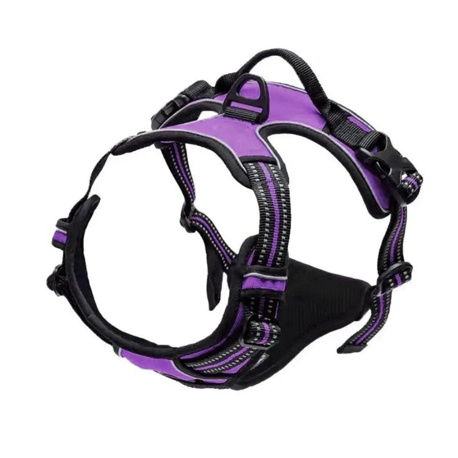 Leather Dog Collars and Harness Set for Medium and Small Dogs