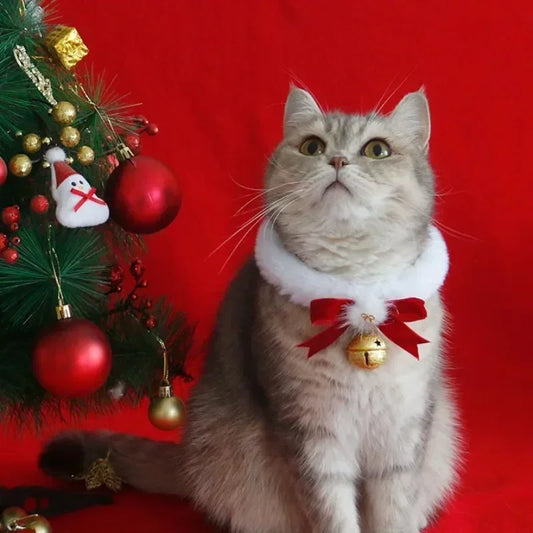 Festive Cat Scarf with Bell Necklace for Holiday Photoshoots