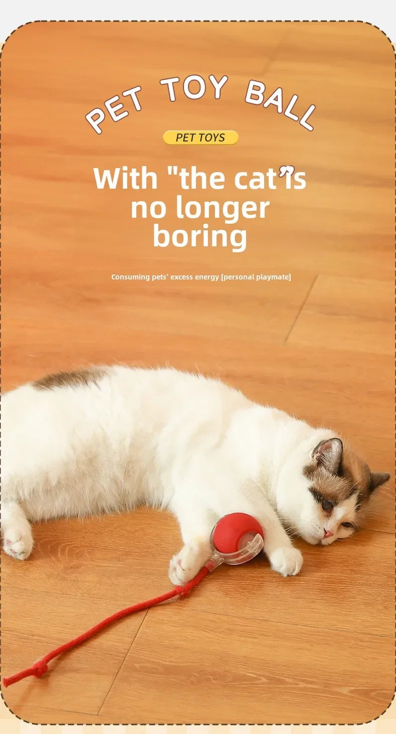 Rechargeable Electric Interactive Ball for Dogs and Cats