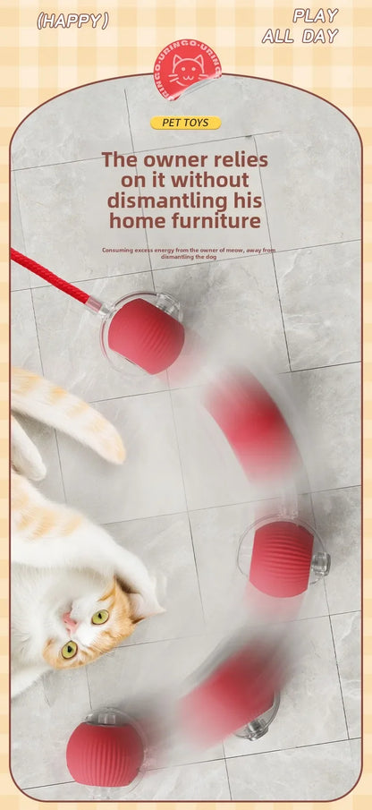 Rechargeable Electric Interactive Ball for Dogs and Cats