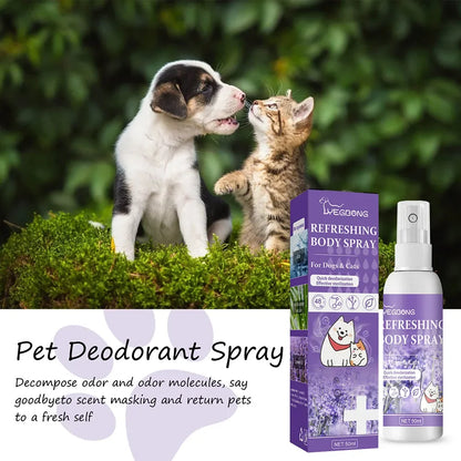 Lavender Oil Pet Deodorizer Spray for Dogs and Cats