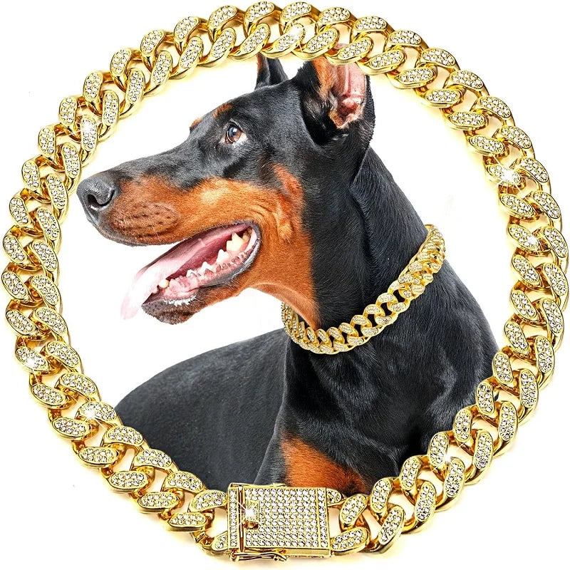 Gold Metal Dog Chain Collar for Small to Large Pets