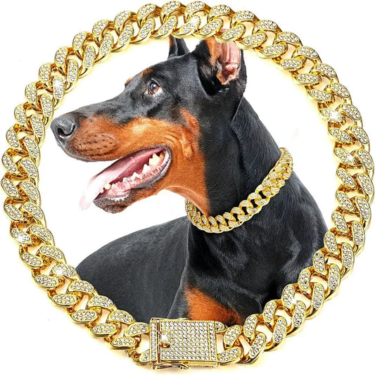 Gold Metal Dog Chain Collar for Small to Large Pets