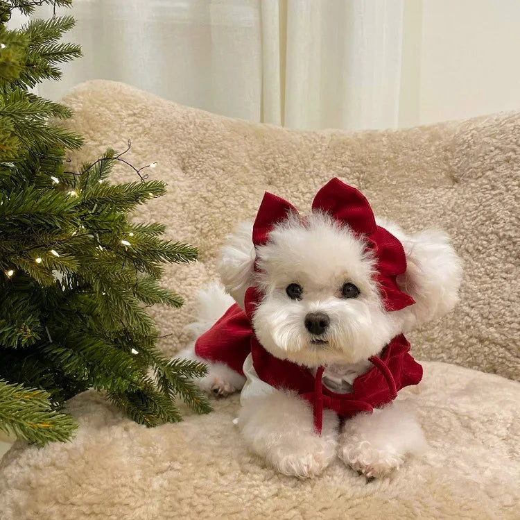 Winter Warm Dog Dress Set with Bow Knot for Small Breeds