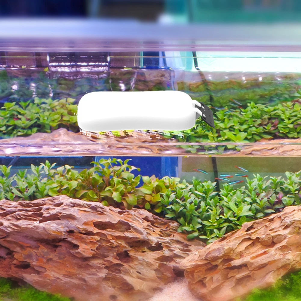 Magnetic Algae Scraper for Glass Fish Tanks