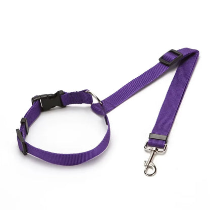 Adjustable Two-in-One Pet Car Seat Belt and Leash