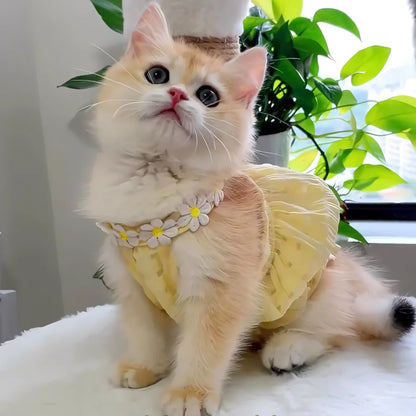 Summer Floral Cat and Small Dog Dress with Collar