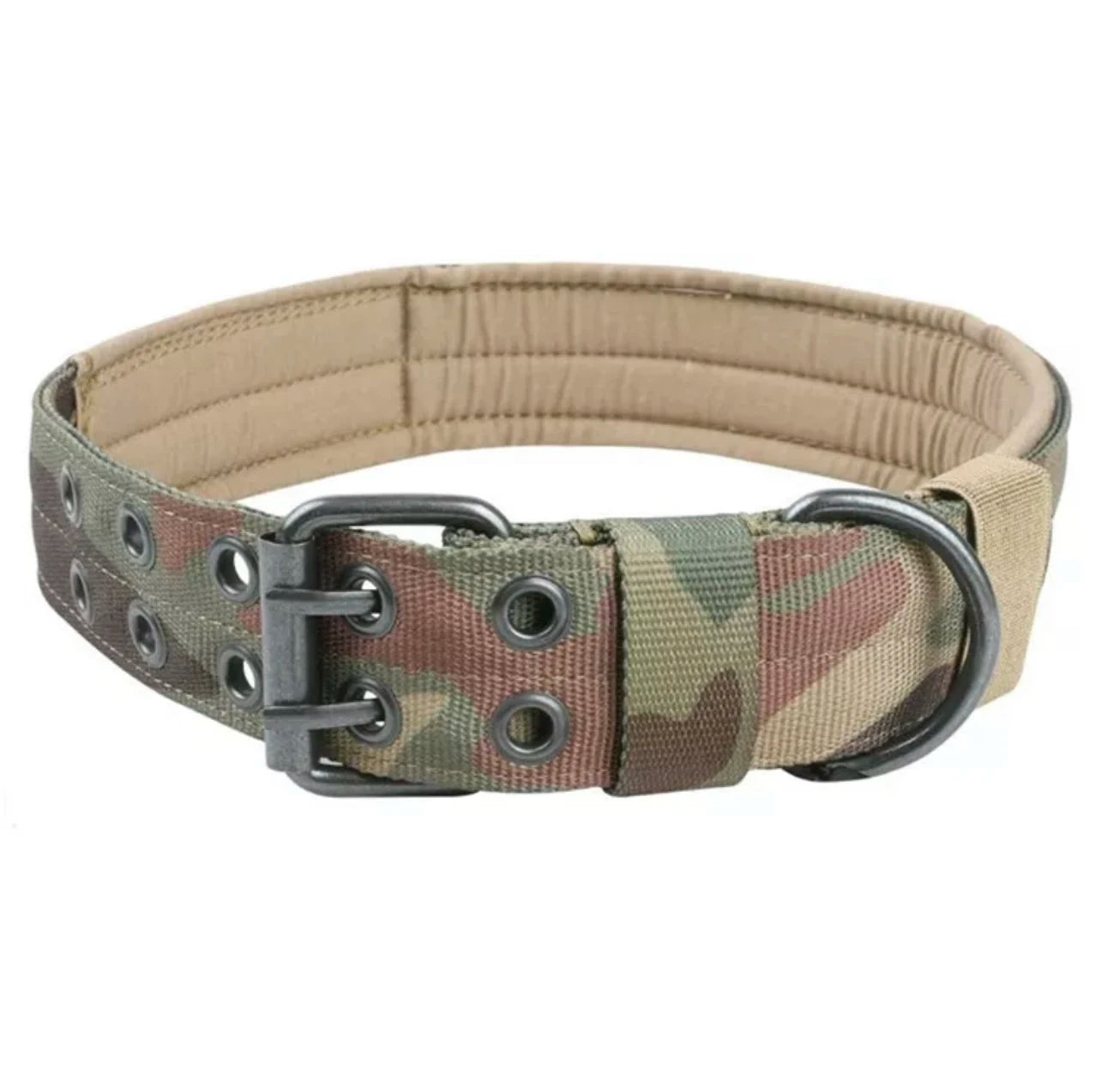 Reflective Heavy-Duty Nylon Dog Collar for Training