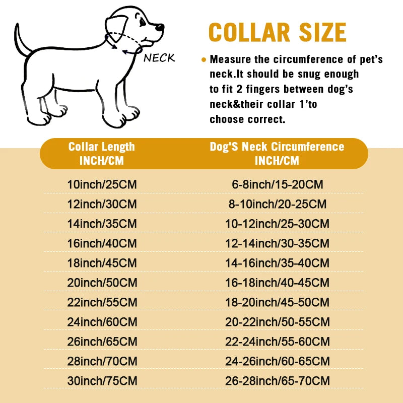 Gold Stainless Steel Chain Collar for Medium & Large Dogs