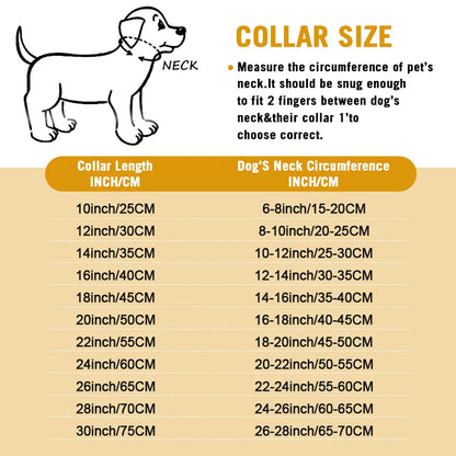 Gold Stainless Steel Chain Collar for Medium & Large Dogs