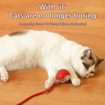 Rechargeable Interactive Cat Ball Toy with Faux Tail