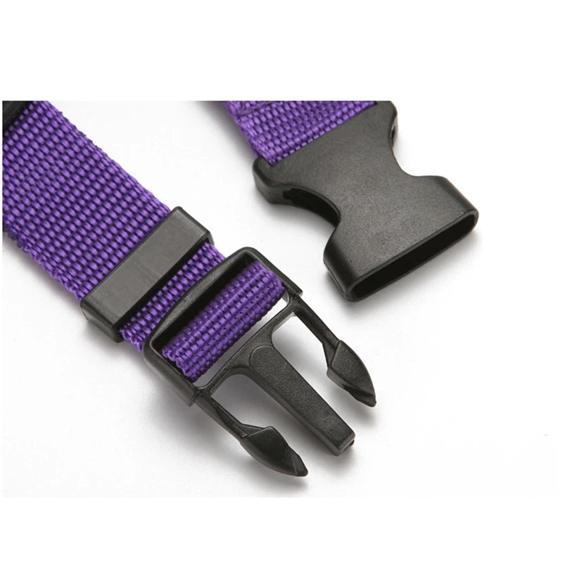 Adjustable Two-in-One Pet Car Seat Belt and Leash