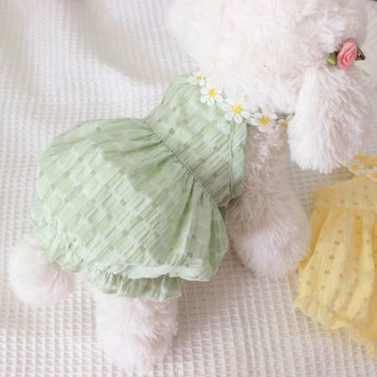 Summer Floral Cat and Small Dog Dress with Collar