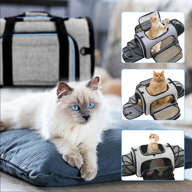 Portable Breathable Cat and Dog Backpack Carrier for Travel