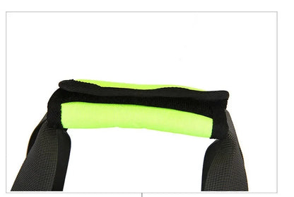 Breathable Pet Carrier Bag for Cats and Small Dogs