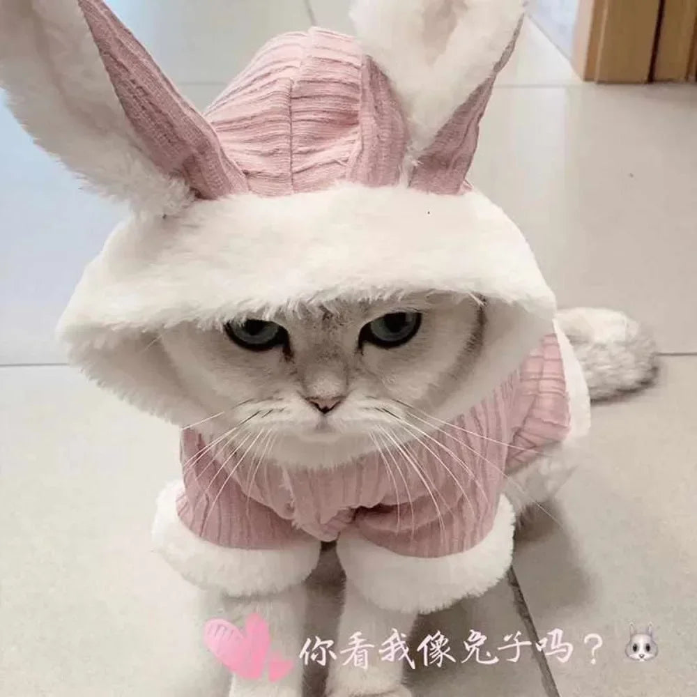 Pet Warm Clothes for Cats and Small Dogs - Autumn Winter Wear