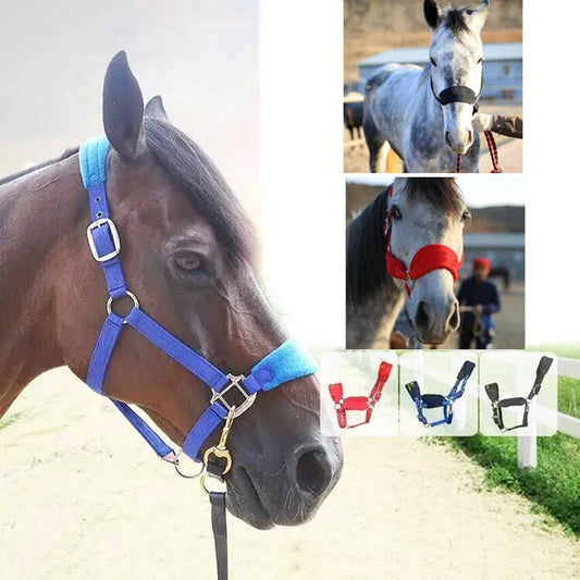 Padded Pony Horse Halter and Bridle for Riding
