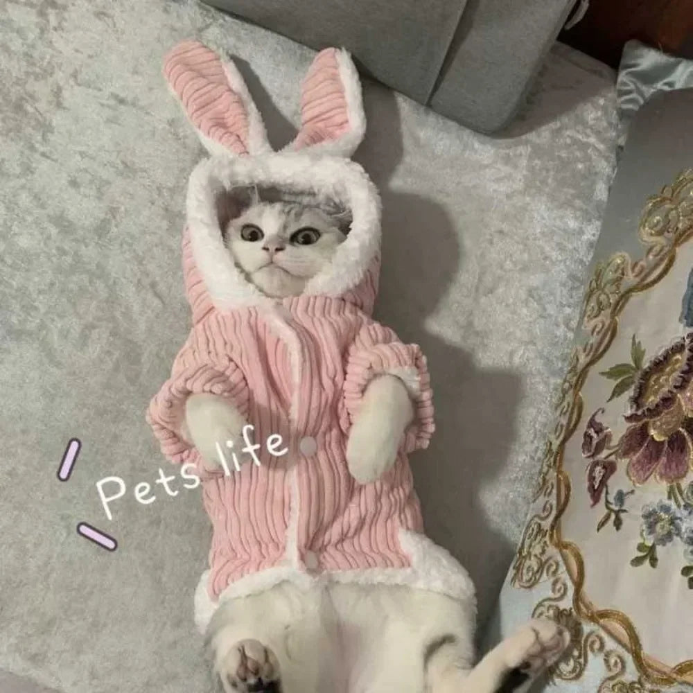 Pet Warm Clothes for Cats and Small Dogs - Autumn Winter Wear