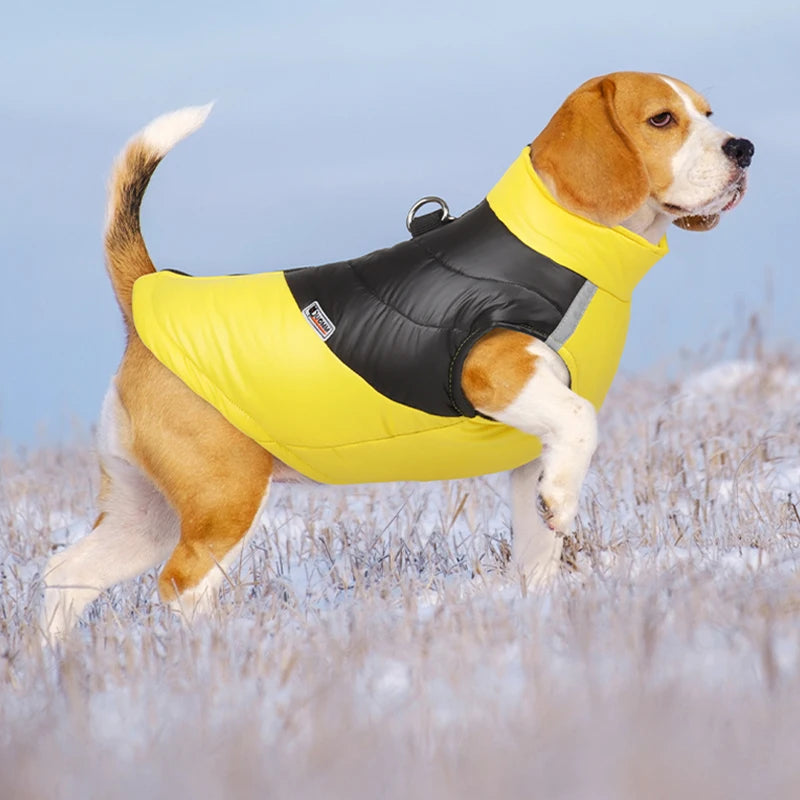 Waterproof Winter Dog Jacket for Small & Large Dogs