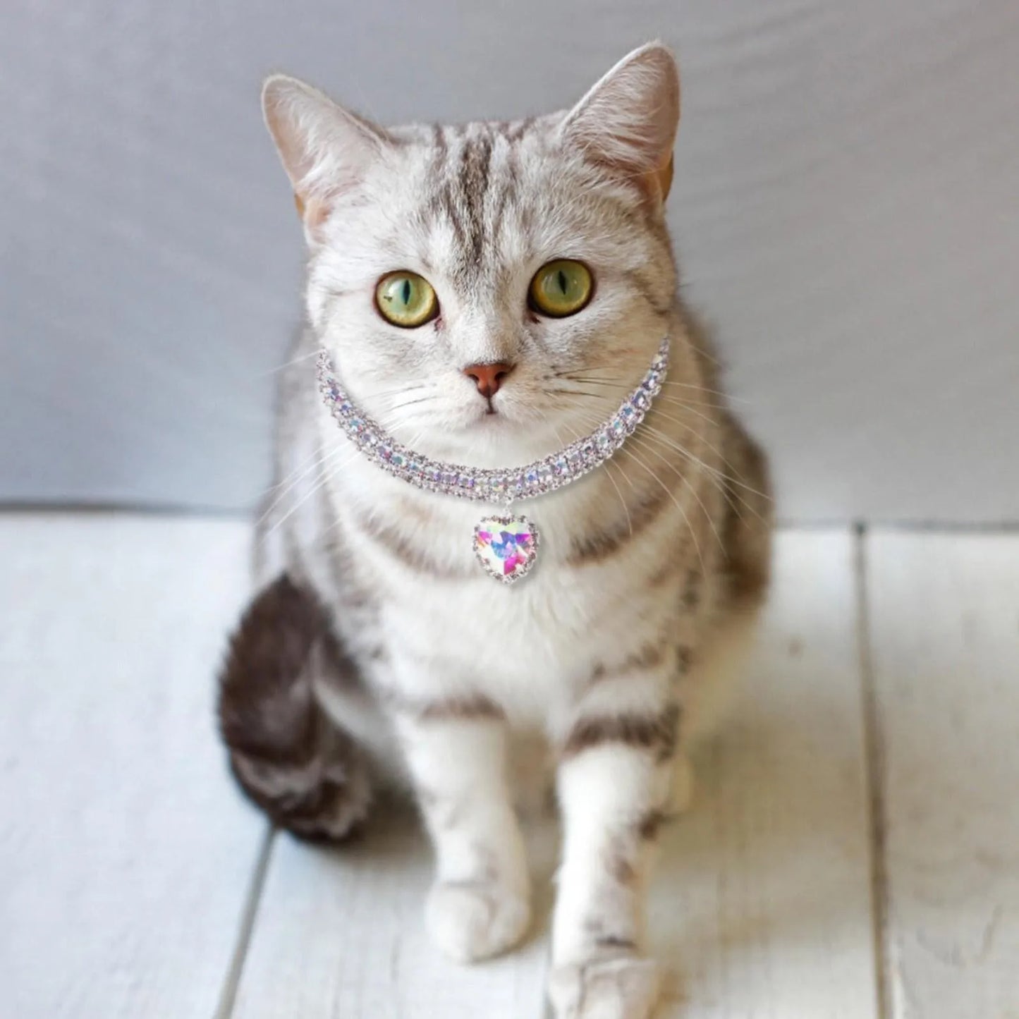 Rhinestone Crystal Pet Collar for Dogs and Cats