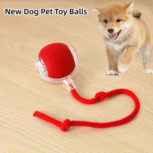 Rechargeable Electric Interactive Ball for Dogs and Cats