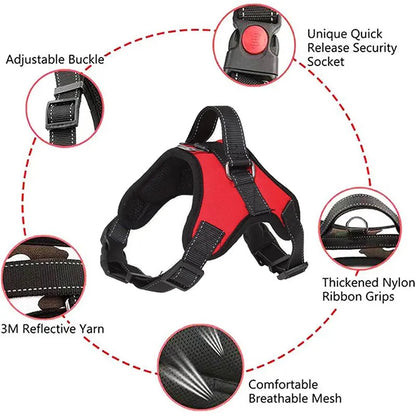 Adjustable Dog Harness and Leash Set for Small to Medium Dogs