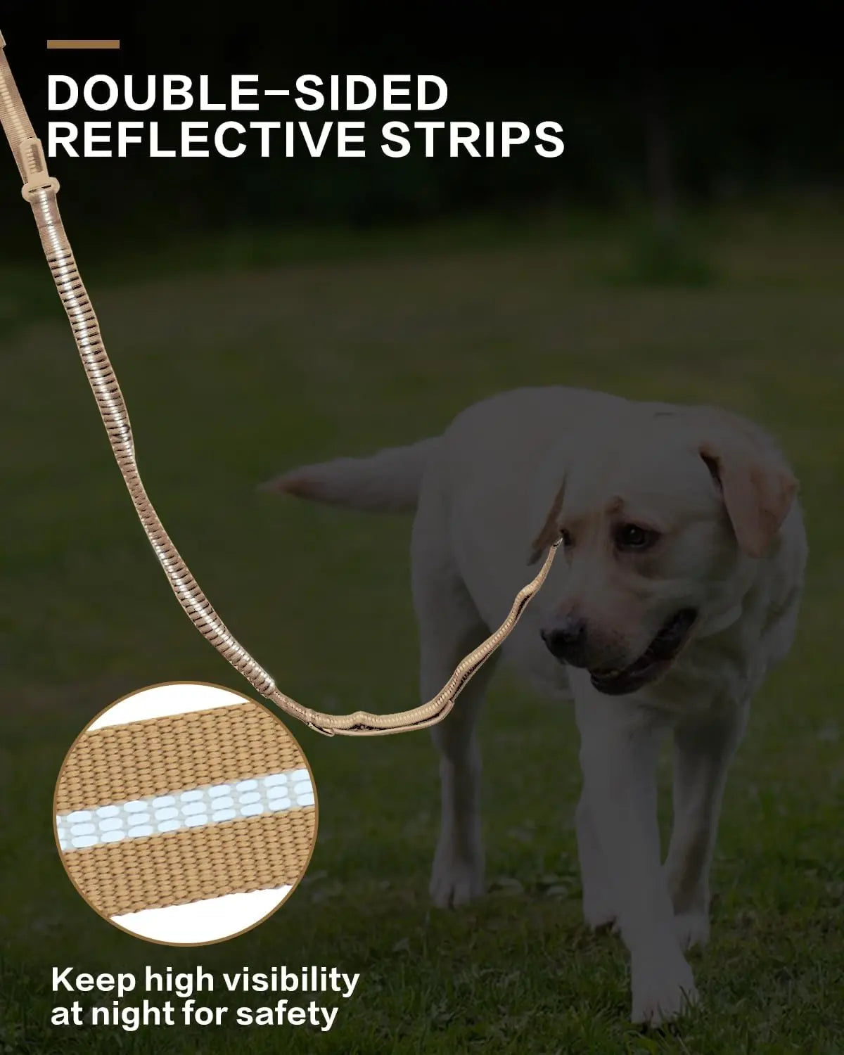 Heavy Duty Bungee Dog Leash with Car Seatbelt for Large Dogs