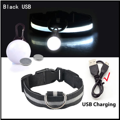 LED Light-Up Dog Collar for Night Safety - USB Rechargeable