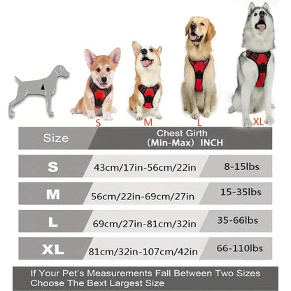 Leather Dog Collars and Harness Set for Medium and Small Dogs
