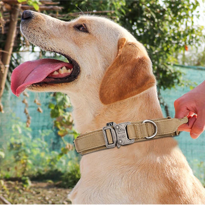 Durable Nylon Dog Collar and Reflective Leash Set