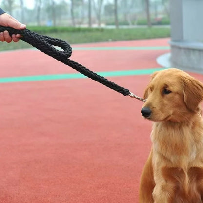 Nylon Braided Dog Leash for Large Breeds - Heavy Duty Walking Rope