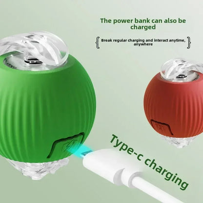 Rechargeable Electric Interactive Ball for Dogs and Cats