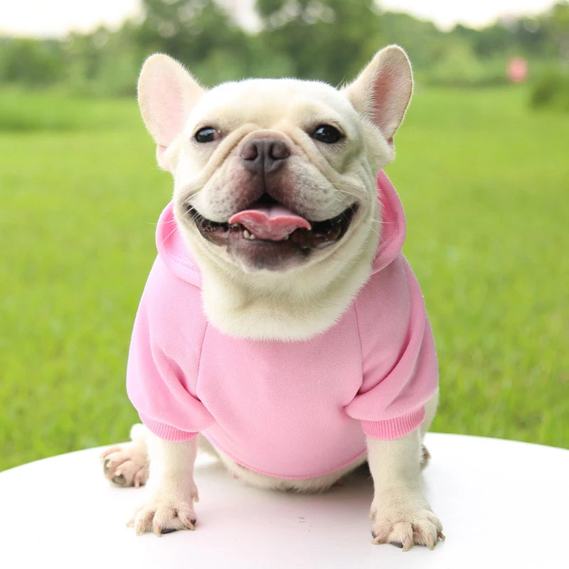 Warm Hooded Sweater for Small Dogs - Autumn & Winter Wear