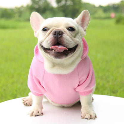 Warm Hooded Sweater for Small Dogs - Autumn & Winter Wear