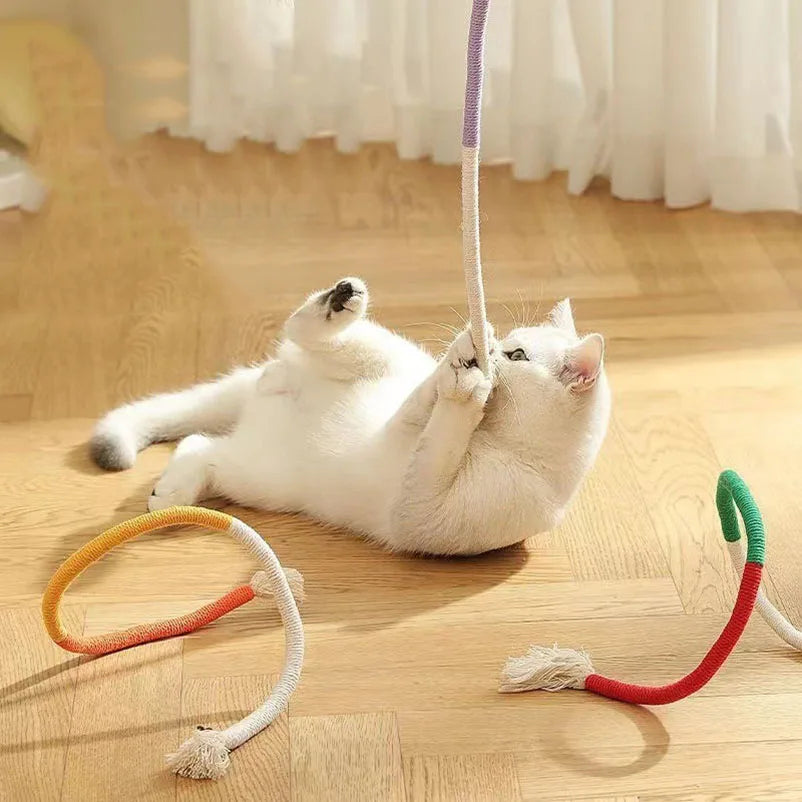 Chew-Resistant Cat Teaser Toys for Kittens and Playtime
