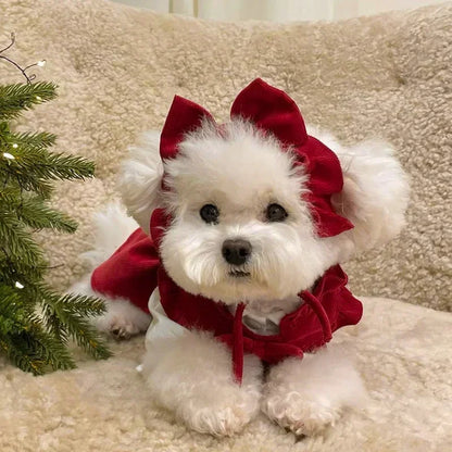 Winter Warm Dog Dress Set with Bow Knot for Small Breeds