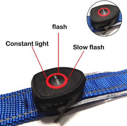 USB Rechargeable Horse Breastplate Harness with Night Visibility