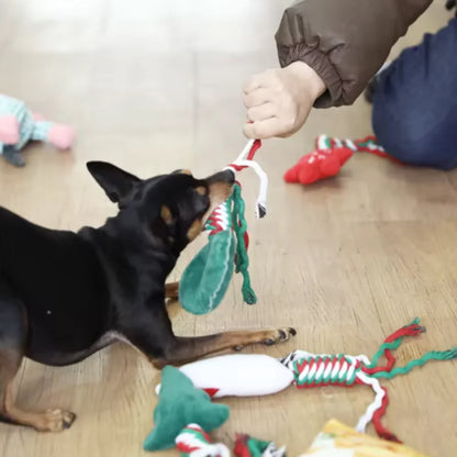 Cute Interactive Dog Squeaky Chew Toy with Cotton Ropes