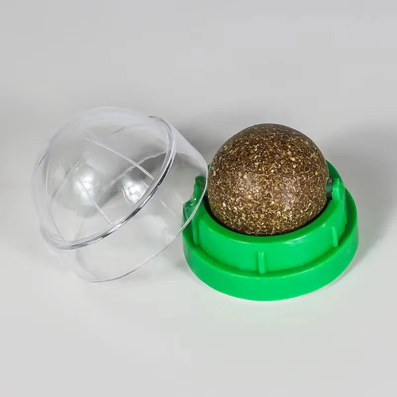 Natural Catnip Wall Ball Toy for Healthy Digestion