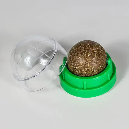 Natural Catnip Wall Ball Toy for Healthy Digestion