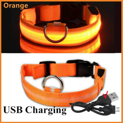 LED Glowing USB Rechargeable Pet Safety Collar for Dogs and Cats
