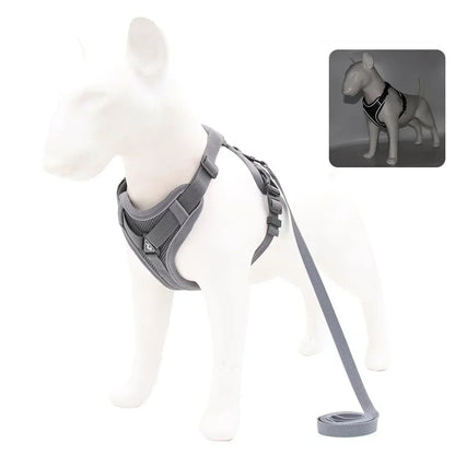 Adjustable No-Pull Dog Harness with 1.5m Leash Set
