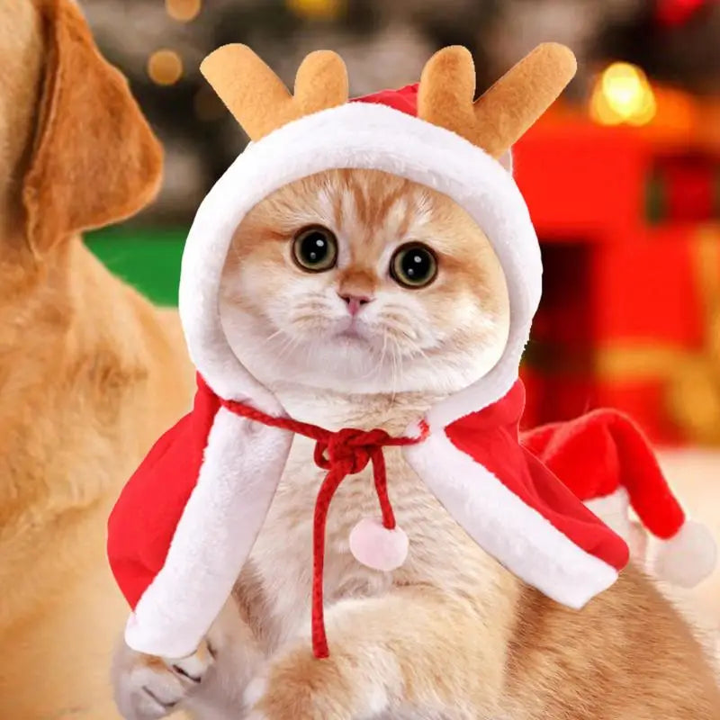 Santa Cape Costume for Cats and Dogs with Red Scarf