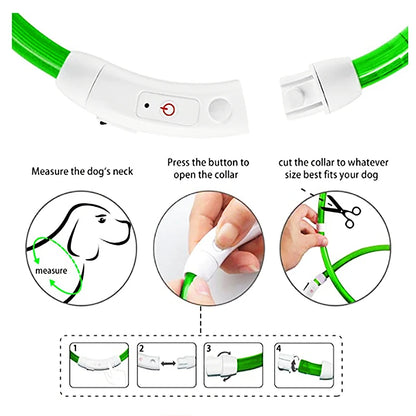 LED Glowing USB Rechargeable Pet Safety Collar for Dogs and Cats
