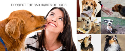 Remote Dog Training Collar for Large, Medium, Small Dogs