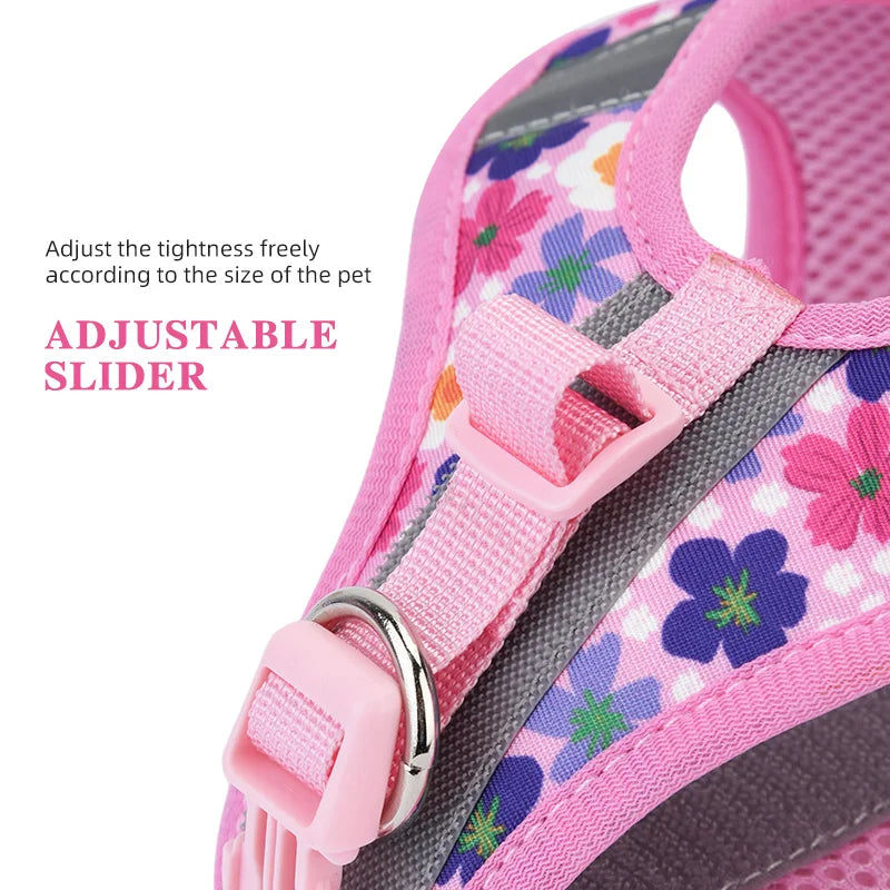 Printed 360° Fit Pet Harness with 1.5m Leash for Dogs & Cats