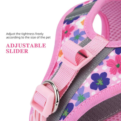 Printed 360° Fit Pet Harness with 1.5m Leash for Dogs & Cats