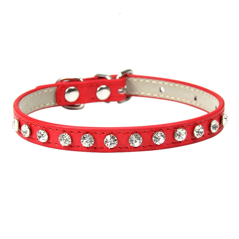 Rhinestone Cat Collar and Leather Dog Neck Strap