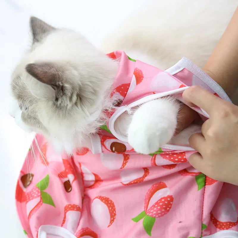 Pet Surgical Recovery Suit for Small Dogs and Cats