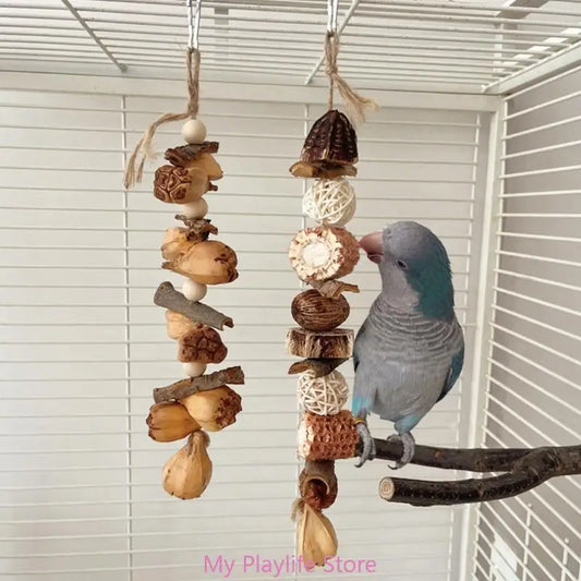 Colorful Parrot Beak Grinding Toy for Health and Fun